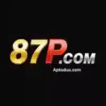 P87 Game