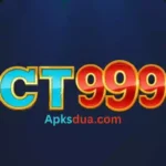 CT999 Game
