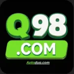 Q989 Game