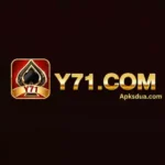 Y71 Game