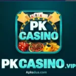 PKCasno Game