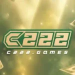 C222 Game App
